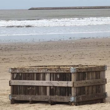 La crecida del Guadalete arrastra hasta la playa de Valdelagrana varias colmenas