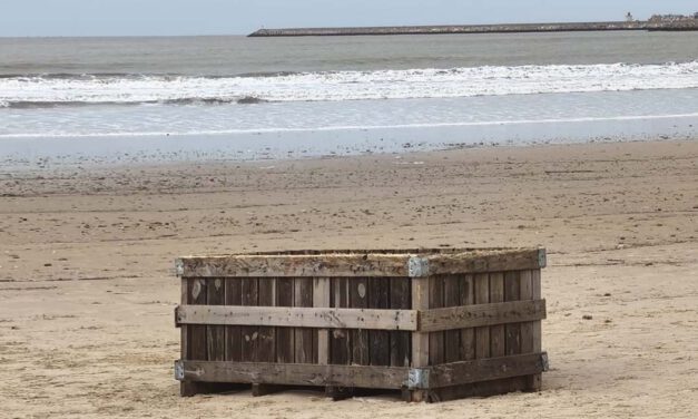 La crecida del Guadalete arrastra hasta la playa de Valdelagrana varias colmenas