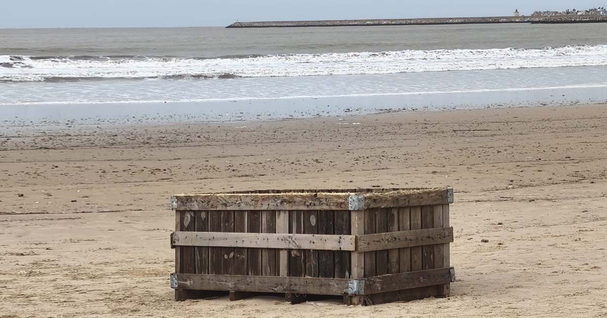 La crecida del Guadalete arrastra hasta la playa de Valdelagrana varias colmenas
