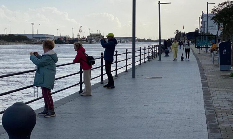 Vigilancia constante sobre el Guadalete y trabajos intensos en Doña Blanca