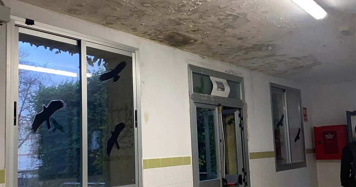 Adelante El Puerto denuncia el estado de los centros educativos tras las lluvias