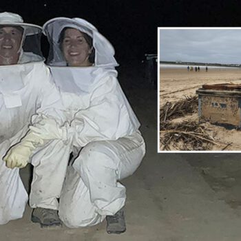 Las colmenas que aparecieron en Valdelagrana: la riada arrasa el negocio de una pareja apicultora