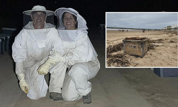 Las colmenas que aparecieron en Valdelagrana: la riada arrasa el negocio de una pareja apicultora