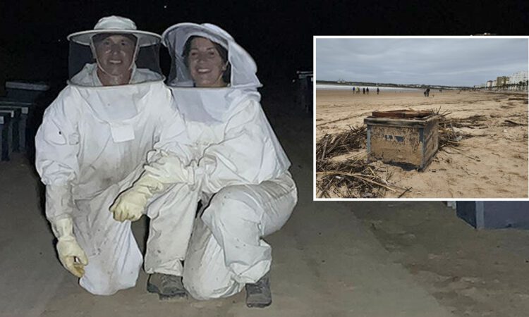 Las colmenas que aparecieron en Valdelagrana: la riada arrasa el negocio de una pareja apicultora