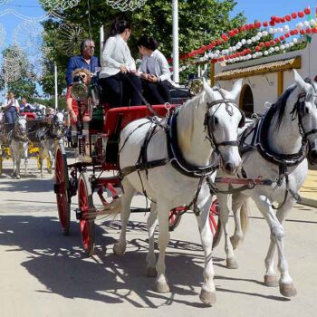El Puerto mantiene abierto el plazo para solicitar enganches en el paseo de caballos de la Feria