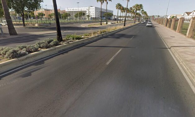 La mediana de la avenida Felipe VI estrena una nueva imagen tras las labores de limpieza y pintura