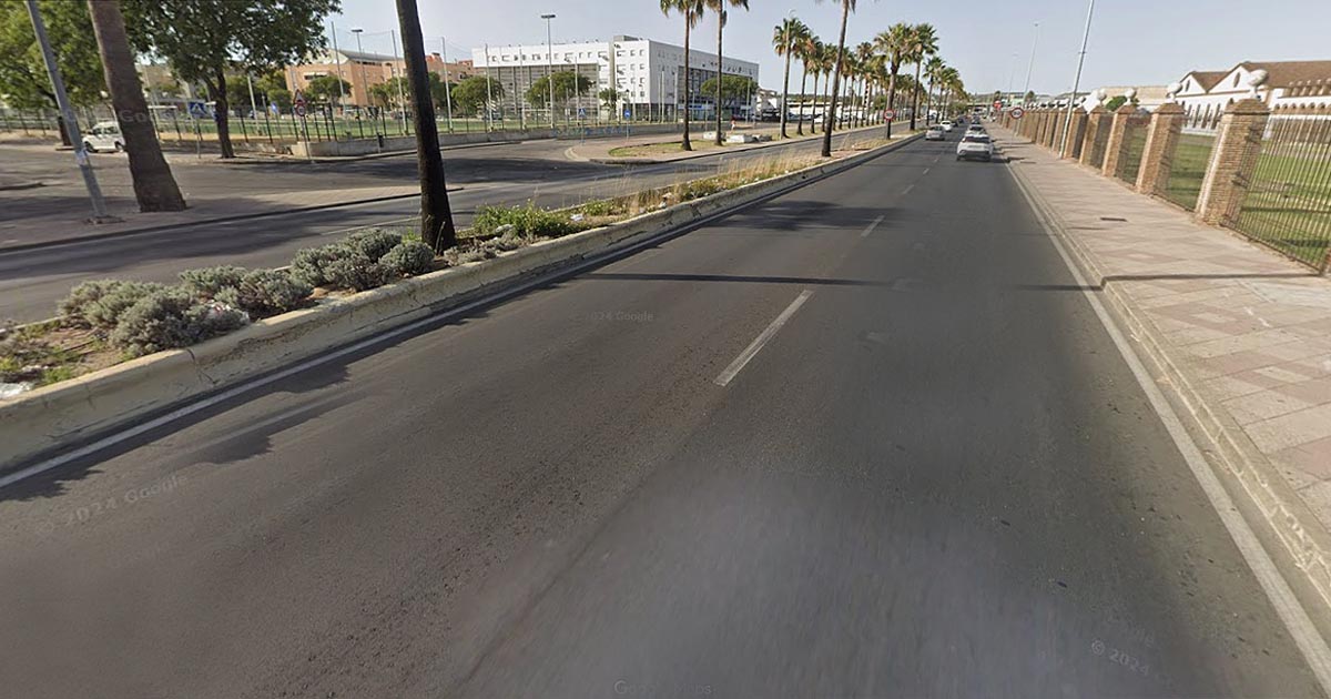 La mediana de la avenida Felipe VI estrena una nueva imagen tras las labores de limpieza y pintura