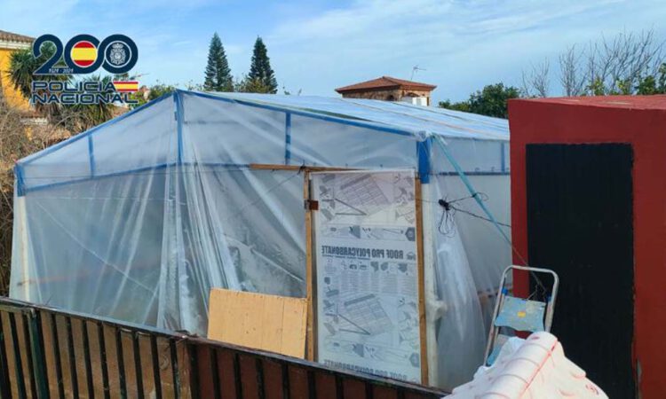 La Policía Nacional interviene 132 plantas de marihuana en un invernadero de una vivienda de El Puerto