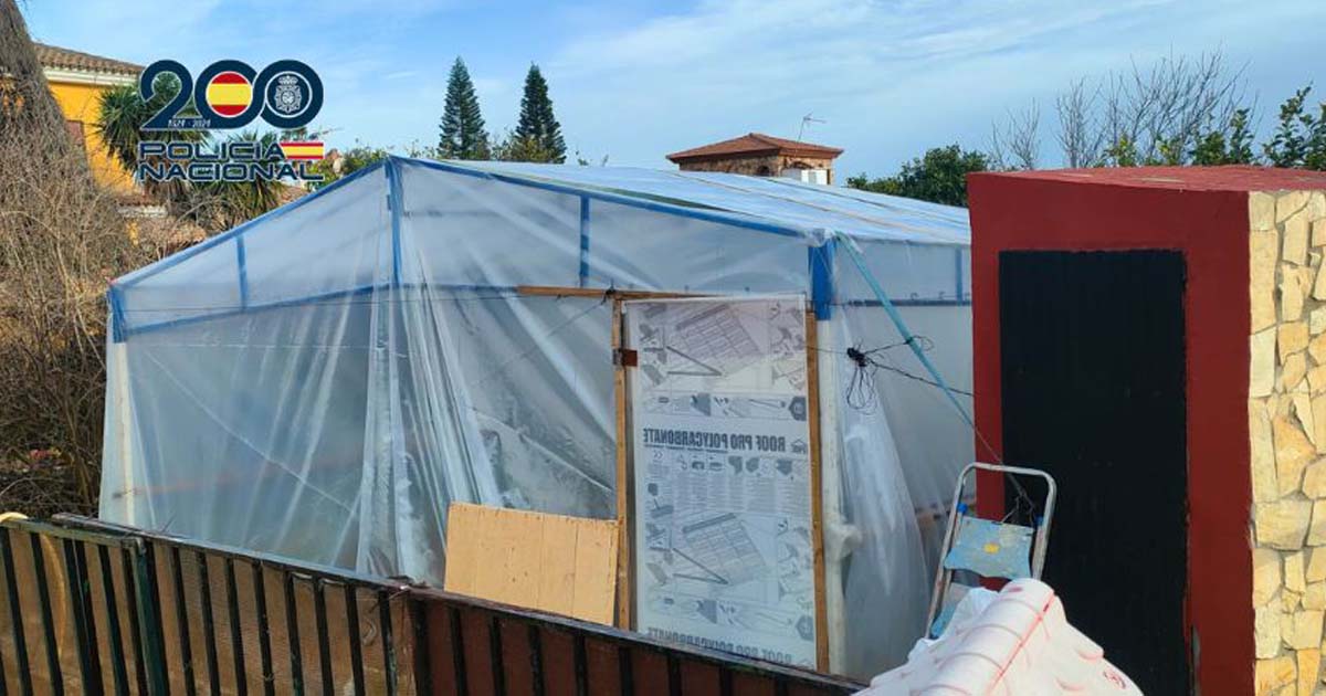 La Policía Nacional interviene 132 plantas de marihuana en un invernadero de una vivienda de El Puerto