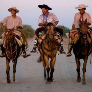 Gauchos