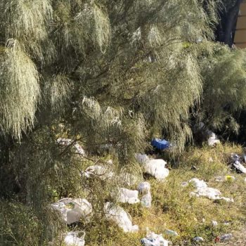 El botellón en los pinares de Puerto Sherry centra una moción de IU para el próximo Pleno