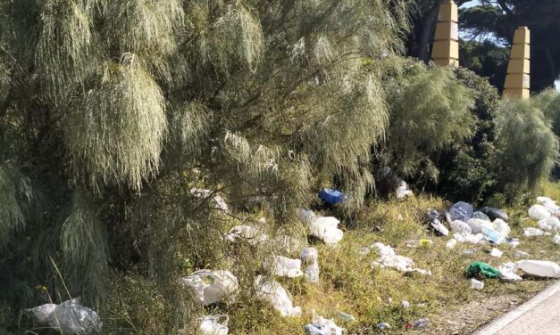 El botellón en los pinares de Puerto Sherry centra una moción de IU para el próximo Pleno