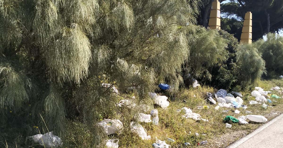 El botellón en los pinares de Puerto Sherry centra una moción de IU para el próximo Pleno