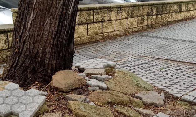 La Flave propone participar en las inversiones en los barrios de El Puerto