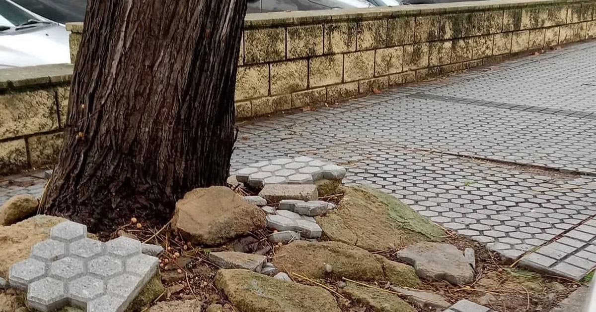 La Flave propone participar en las inversiones en los barrios de El Puerto