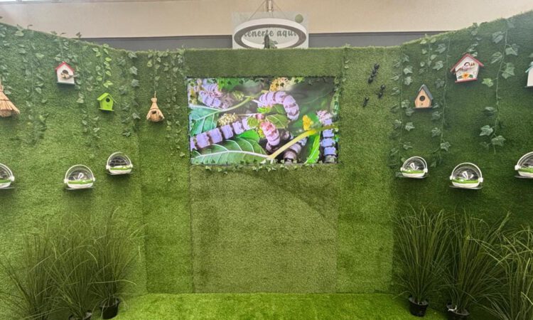 El Paseo acerca el ciclo del gusano de seda con una actividad divulgativa y talleres creativos