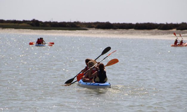 Una excursión gratuita a Doñana permitirá a jóvenes portuenses cruzar el Guadalquivir en kayak o paddle surf