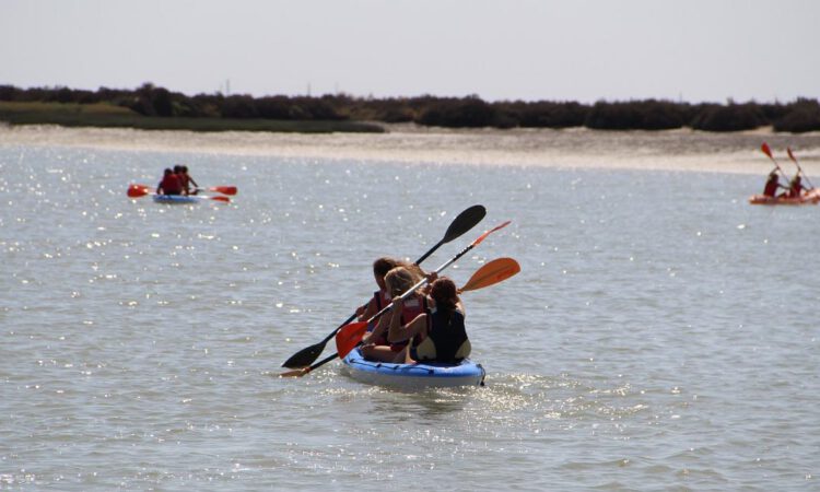 Una excursión gratuita a Doñana permitirá a jóvenes portuenses cruzar el Guadalquivir en kayak o paddle surf