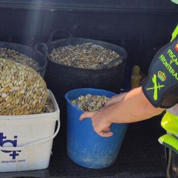 Intervenidos más de 45 kilos de coquinas capturadas ilegalmente junto al río Guadalete