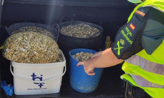 Intervenidos más de 45 kilos de coquinas capturadas ilegalmente junto al río Guadalete