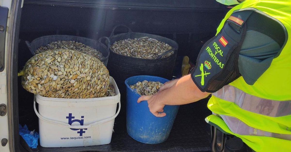 Intervenidos más de 45 kilos de coquinas capturadas ilegalmente junto al río Guadalete