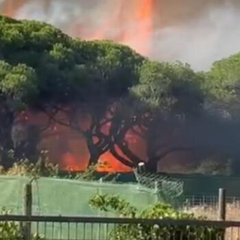 Las llamas se extienden por el Pinar del Cuvillo en El Puerto y obligan a intervenir a los bomberos