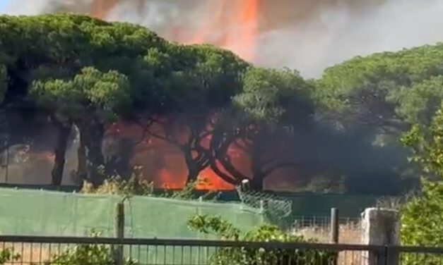 Las llamas se extienden por el Pinar del Cuvillo en El Puerto y obligan a intervenir a los bomberos