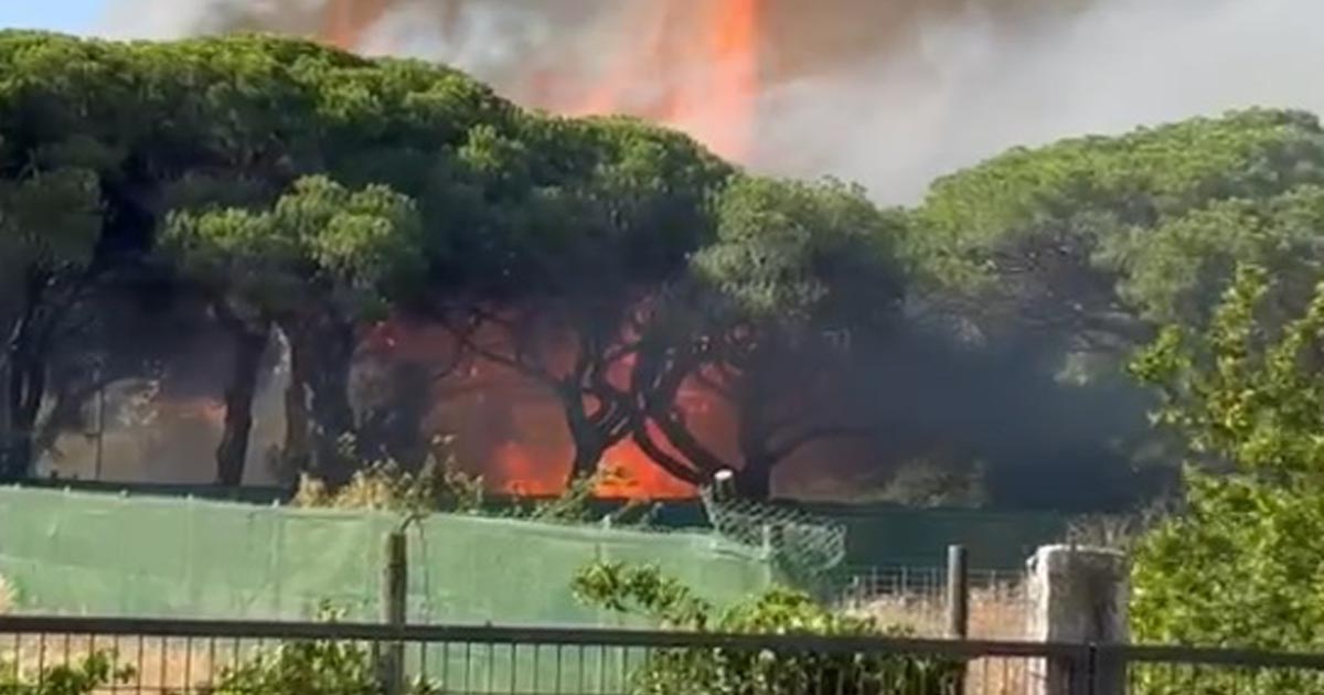 Las llamas se extienden por el Pinar del Cuvillo en El Puerto y obligan a intervenir a los bomberos