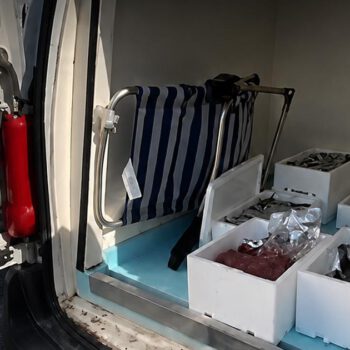 Intervenidos más de 31 kilos de pescado y marisco sin trazabilidad en un control en El Puerto
