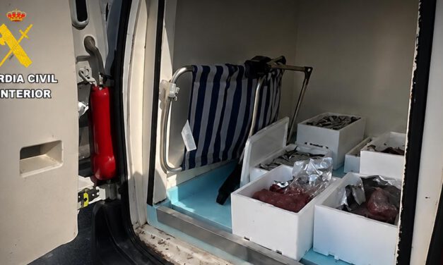 Intervenidos más de 31 kilos de pescado y marisco sin trazabilidad en un control en El Puerto