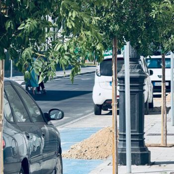 La Avenida de la Bajamar estrena nuevo arbolado tras su transformación integral