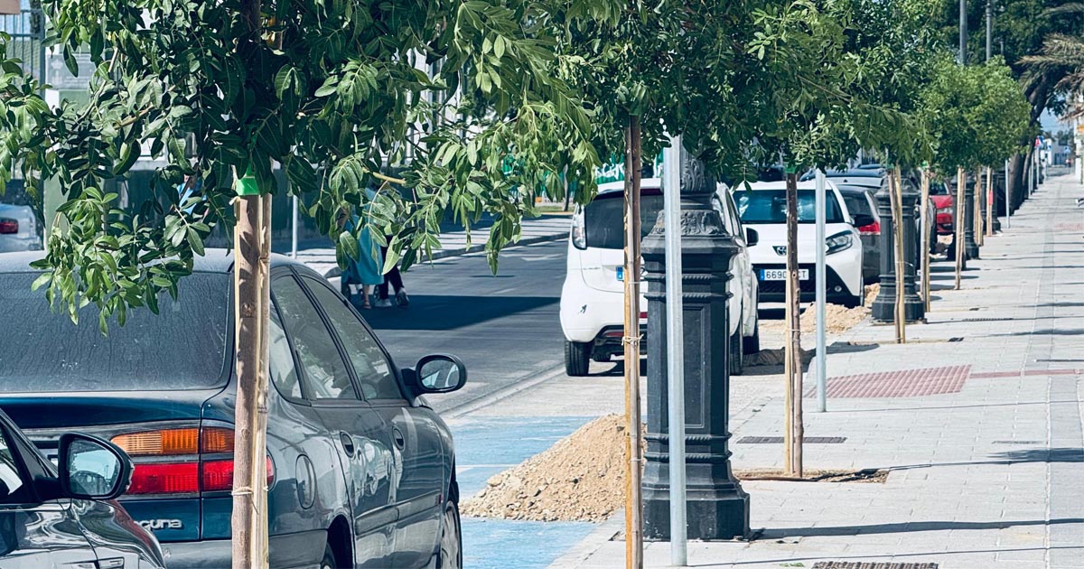 La Avenida de la Bajamar estrena nuevo arbolado tras su transformación integral