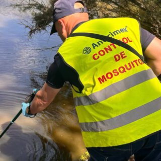 El Puerto intensifica los controles contra el virus del Nilo tras confirmarse un contagio control mosquitos
