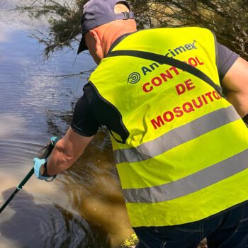 El Puerto intensifica los controles contra el virus del Nilo tras confirmarse un contagio