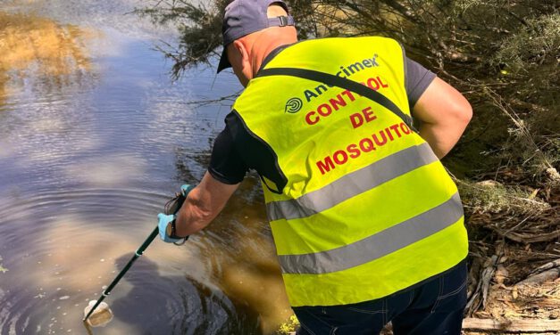 El Puerto intensifica los controles contra el virus del Nilo tras confirmarse un contagio