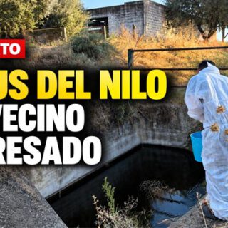 portada nilo ok