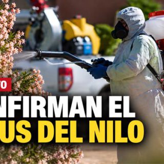 portada web actua