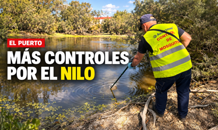 El Puerto intensifica los controles contra el virus del Nilo tras confirmarse un contagio