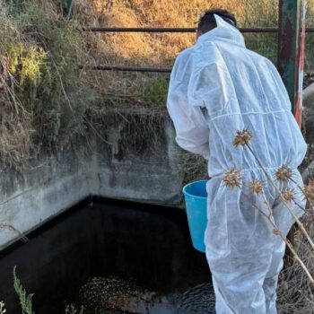 Un vecino de El Puerto, ingresado por fiebre del Nilo mientras Andalucía suma ya 66 casos