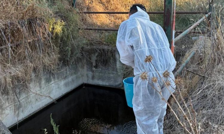 Un vecino de El Puerto, ingresado por fiebre del Nilo mientras Andalucía suma ya 66 casos