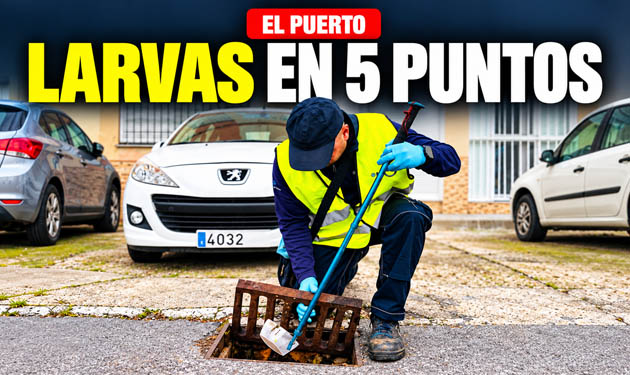 Detectan larvas de mosquito en cinco puntos de El Puerto durante una inspección sanitaria