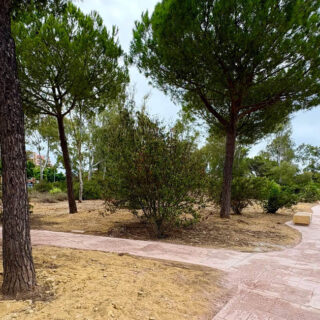 arboleda fb