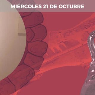 El Aula Menesteo retoma sus tertulias con una conferencia sobre los tesoros funerarios de Gades aula fb