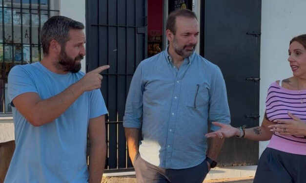 Los vecinos de Vallealto-El Tomillar trasladan problemas de limpieza, acerados y zonas verdes