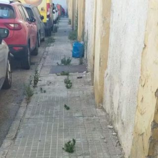 fotodenuncia