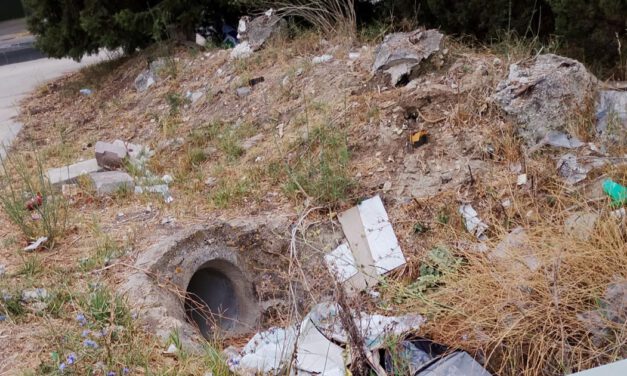 Vecinos del Camino Viejo de Rota denuncian falta de alumbrado, limpieza y seguridad vial