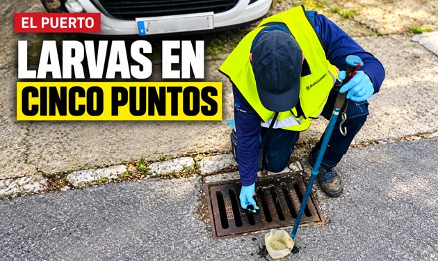 El control de mosquitos detecta larvas y pupas en cinco puntos de El Puerto