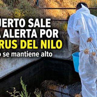 portada web nilo ok